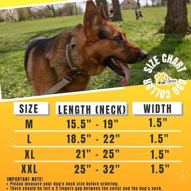 ADITYNA Tactical Dog Collar for Medium Dogs - Soft Padded, Heavy Duty, Service, Adjustable, Military, K9 Medium Collar with Handle for Training and Walking - Image 5