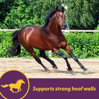 Horse Health Vita Biotin Crumbles horse hoof Supplement, Helps maintain healthy, sound hooves and strong hoof walls, 3 lbs., 48 day supply - Image 4