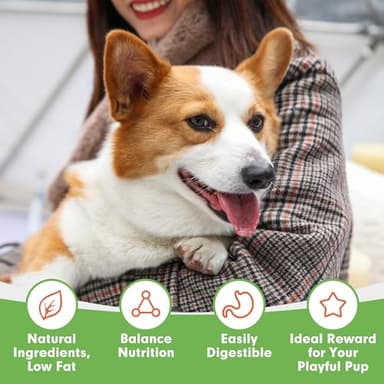 MON2SUN Dog Treats, Chicken Jerky Strips for Small Dogs, High Protein & Grain Free Snacks, Easy to Digest Training Treats (Chicken, 17.64 Ounce -Pack of 1) - Image 6