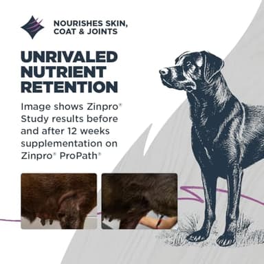 Blackwood Sensitive Skin & Stomach Dry Dog Food, Salmon Meal & Brown Rice with Ancient Grains, 24 Pound Bag with Prebiotics & Probiotics to Promote Gut Health - Image 6