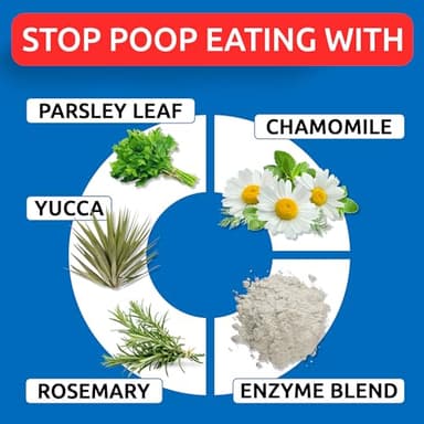 No Poo Chews for Dogs - Coprophagia & Stool Eating Deterrent with Probiotics, Digestive Enzymes & Breath Aid Support - Stop Dog Poop Eating - Made in USA - 120Ct - Image 3