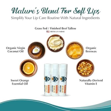 Moisturizing Tallow Lip Balm – Grass-Fed Beef Tallow with Organic Coconut Oil, Beeswax, and Vitamin E – Sweet Orange – Lip Balm Set – Travel Essential – 3-Pack - Image 6