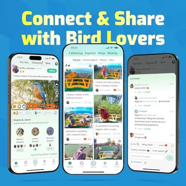 Smart Bird Feeder with Camera, 2K HD Birdwatching Camera with AI Identify Bird Species & Solar Panel, Auto Video Capture & Instant Notifications, Ideal Gifts for Lover, Deep Blue - Image 5