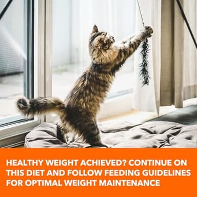 IAMS Proactive Health Healthy Weight Adult Dry Cat Food Chicken Flavor, 22 lb. Bag - Image 5