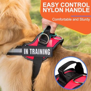 Essential Dog Harness, No Pull Pet Harness with 3 Side Rings for Leash Placement, No Choke, Reflective, Adjustable Pet Vest, Easy On-Off & Improved Control Handle, Training, Walking, Running - Image 3