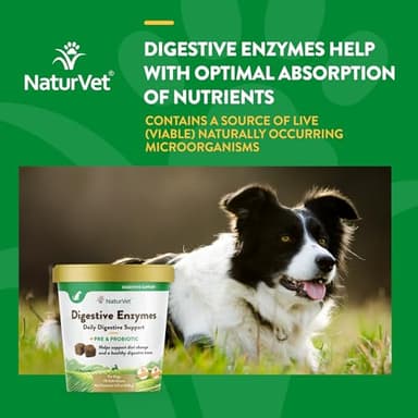 NaturVet – Digestive Enzymes - Plus Probiotics & Prebiotics – Helps Support Diet Change & A Healthy Digestive Tract – for Dogs (Soft Chews, 70 Count) - Image 4