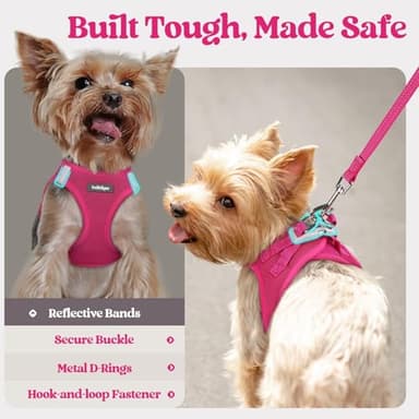 rabbitgoo Dog Harness Small Sized and Leash Set, Step in Soft Light Puppy Vest, Breathable Mesh Pet Harness, Reflective for Safe Easy Walking, Rose Red M - Image 5