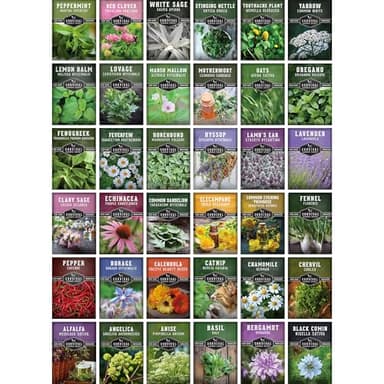 Ultimate Medicinal Herb Seeds Variety Pack – 36 Heirloom Varieties, 28,000+ Lavender, Calendula, Echinacea, Peppermint, Yarrow – Non-GMO Garden Kit by Survival Garden Seeds - Image 6