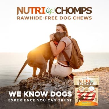 NutriChomps Dog Chews – 6-inch Twists, Easy to Digest, Rawhide-Free Dog Treats, Healthy, 12 Count, Real Chicken, Peanut Butter and Milk flavors - Image 6