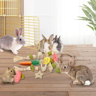 Jorewood Rabbit Chew Toys Bunny Cage Hanging Toy and Treats Rattan Ring with Snacks for Rodent Pets Teeth Healthy - Image 4