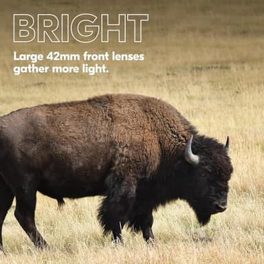 Nikon PROSTAFF P3 10x42 Binocular | Waterproof, fogproof, Rubber-Armored Full-Size Binocular, Wide Field of View & Long Eye Relief | Official Nikon USA Model - Image 7