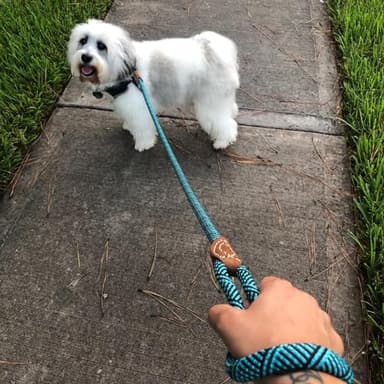 Mile High Life Rope Leash with Genuine Leather Connection, 6 FT/5 FT/4 FT, Heavy Duty Leash for Medium & Large Dogs (Turquoise Green, 48 Inch) - Image 6