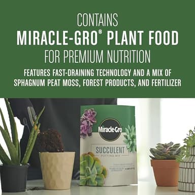 Miracle-Gro Succulent Potting Mix, For Indoor Succulents, Aloe Vera and More, Made with Miracle-Gro Plant Food, 4 qt - Image 5