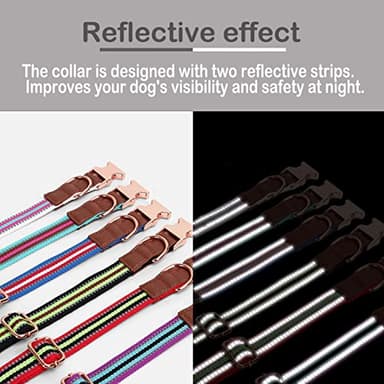 Dog Collar Reflective, Multi-Colored Stripe Dog Collar, Soft Adjustable Dog Collars with Metal Buckle for Small Medium Large Dogs, Perfect Pet Collar Gift (Black,L) - Image 5