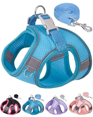 Aecllcea Dog Harness for Small Medium Sized Dog,Step in Puppy Harness and Leash Set Training Walking. (Blue, L) - Image 1