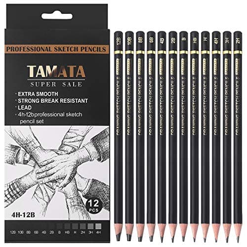 RVOGJP TAMATA Professional Drawing Sketching Pencil Set - 12 Pieces Art Graphite Pencils(12B - 4H), Ideal for Drawing Art, Sketching, Shading, for Beginners & Pro Artists - Image 1