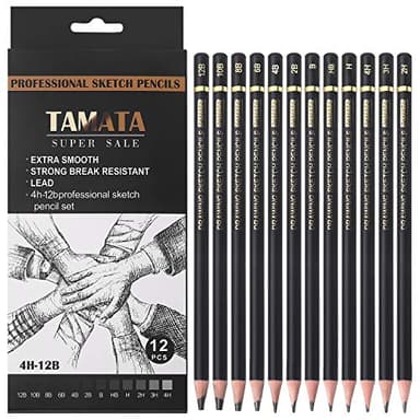 RVOGJP TAMATA Professional Drawing Sketching Pencil Set - 12 Pieces Art Graphite Pencils(12B - 4H), Ideal for Drawing Art, Sketching, Shading, for Beginners & Pro Artists - Image 1
