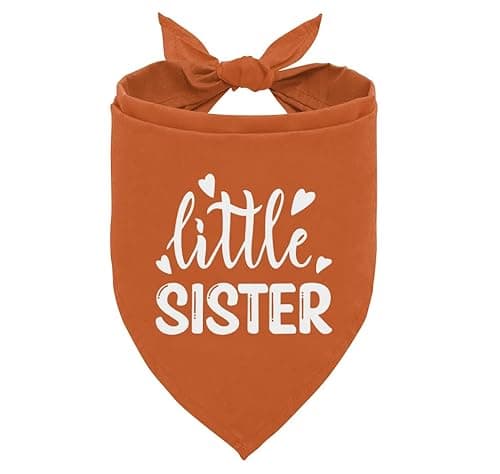 Little Sister Dog Bandana, Little Sister Dog Shirt, Gender Reveal Trianale Bibs Accessories, Pet Announcement Plaid Scarf Gender Reveal Accessories, Dog Bandana for Small Medium Dogs (B27) - Image 1