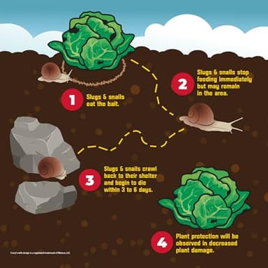 Corry's 100537446 Slug & Snail Killer, 3.5 lb, Brown/A - Image 11