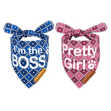 Raisingwell Birthday Bandanas 2 Pack, 4 Pattern Reversible Blue and Pink for Boy and Girl Dogs - Triangle Scarf for Medium to X-Large Breeds - Dog Birthday Gift (Large) - Image 1