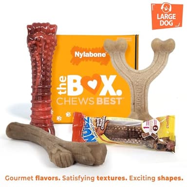 Nylabone Dog Gift Box, Includes 3 Strong Chew Toys and 1 Natural Treat, Gifts for Dogs, Large - Up to 50 lbs, 4 Pack - Image 3