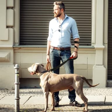 Heavy Duty Dog Leash with 2 Handles - 6ft Reflective Anti-Pull Leash for Large Dogs, Padded Traffic Handle for Control, Durable Nylon Training Lead (Black) - Image 4