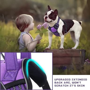 BUMBIN Dog Harness for Large Dogs, No Pull Adjustable No Choke Pet Vest with Dog Leash Fit Smart Reflective Pet Walking Harness for Training Easy Control Soft Handle Purple M - Image 5