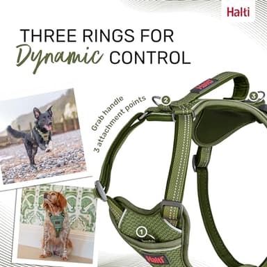 HALTI Anatomy Dog Harness with Handle - Provides Your Dog Freedom of Movement for Comfortable Walking. 3 Leash Attachment Points, Neoprene Padded, Adjustable, and Reflective (Size X-Large, Green) - Image 4