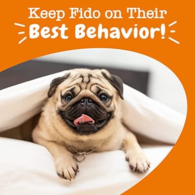 Zesty Paws OraStix for Dogs - Calming Dental Sticks for Stress with Hemp Melatonin Chamomile Dog Healthy Teeth and Gums Calm Composure for Fireworks and Thunderstorms - 25oz - Image 7