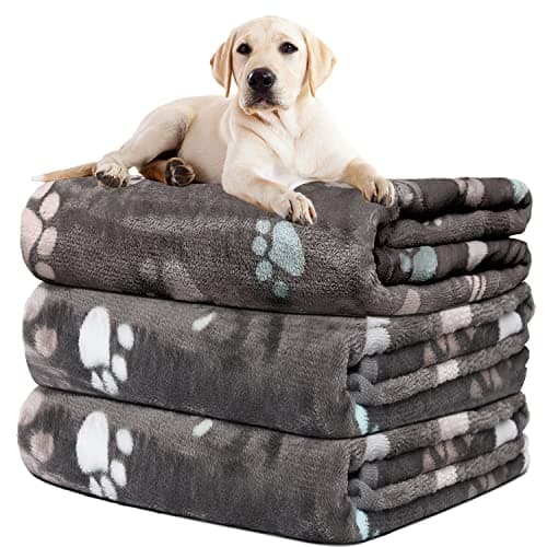Rezutan Dog Blanket for Large Dogs, Upgraded 3 Pack Dog Cat Flannel Blankets Washable, Soft Pet Throw Cover Suitable for Kennel Crate Bed, Cute Paw Pattern, Grey, 31" x 41" - Image 1