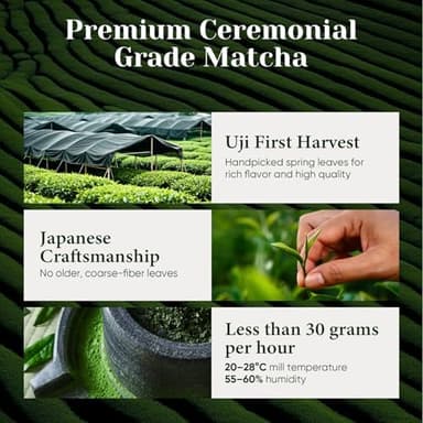 Venture Pal Superior Ceremonial Grade Matcha Powder, 100% Pure First Harvest Matcha Powder, Green Tea sourced from Uji – Vegan, Gluten-Free, No Additives, Unsweetened (30g/1.06oz Tin - Image 4