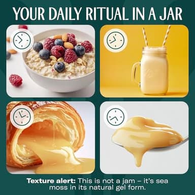 TrueSeaMoss Sea Moss Gel – Made in USA – Wildcrafted Seamoss, Dried Seaweed & Sea Vegetables – Original, Pack of 1 (Labels may Vary) - Image 8