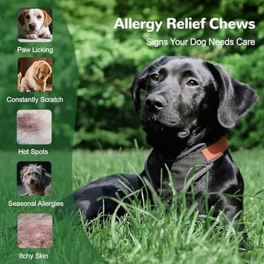 Vetriuntrix Dog Allergy Relief Chews, Dog Itch Relief Chews for Large Dogs Paw Licking Itchy Skin Seasonal Allergies, Probiotics with Astragalus Omega-3 for Coat Immune Supplement-150ct - Image 3