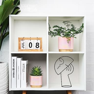 Gepege Pink Indoor Plant Pots for Plants, Ceramic Planter with Drainage Hole, 6.0 inch+5.0 Inch+4.0 Inch. Succulent Orchid Flower Pot - Rainbow Pearl Glaze - Image 5