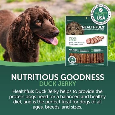 westminster pet products 08222 Wag N Tails, LB, Ducky Jerky, Dog Treat - Image 3