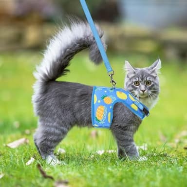 PUPTECK Soft Mesh Cat Vest Harness and Leash Set Puppy Padded Pet Harnesses Escape Proof for Cats Small Dogs Rabbits Bunny - Image 7