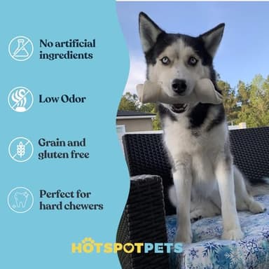 hotspot pets 5 Pack - 8-9 Inch Large Rawhide Dog Chew Bones - Made from Grass Fed Brazilian - Great for Dental & Oral Care for Aggressive Chewers Large Dogs (5 Pack) - Image 4