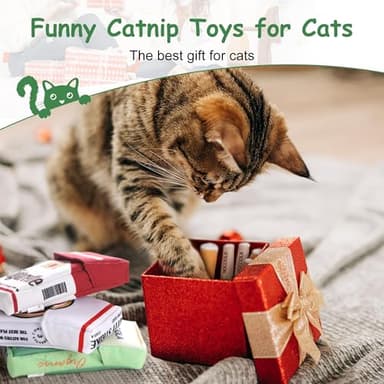 Nocciola 3 Pack Catnip Toys for Cats, Funny Cat Toys Filled with 100% Pure Organic Catnip, Safe Kitten Teething Chew and Kicker Toys, Stress Relieving Fun for Indoor Cats - Image 7