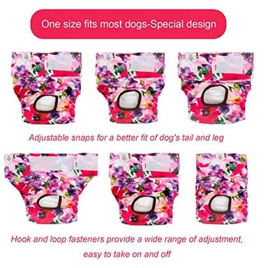 CuteBone Dog Diapers Female Washable Small Medium Large 3 Pack Reusable Doggie Diapers Puppy Period Pants for Doggy Heat Cycle Peeing D21M - Image 3