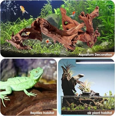 Jorewood Natural Small Aquarium Driftwood for Fish Tanks & Reptile Terrariums – 100% Safe Fish Tank Decorations, Unique Twisted Branches 5-Piece 4-8 Inch Low Tannin, Easy to Sink - Image 4