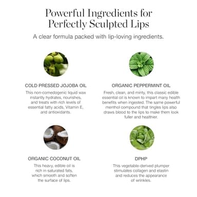 Ogee Sculpted Lip Oil - Lip Stain Made with 100% Organic Coconut Oil, Jojoba Oil, and Vitamin E - Best as Lip Balm or Overnight Lip Treatment - CLEAR - Image 2