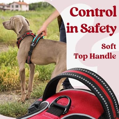 rabbitgoo Dog Harness for Large, No Pull Pet Harness with 3 Buckles, Adjustable Soft Padded Vest with Control Handle, Walking Reflective Pet Vest for Large Dogs, Red, L - Image 4