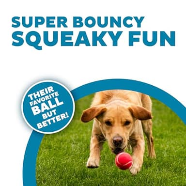 Outward Hound Squeaker Ballz 4-Pack Tennis Ball Dog Toys with Squeaker, Interactive Fetch Play for Pets Under 50 lbs, Training Balls for Indoor & Outdoor Exercise, Medium, 2.5-inch - Image 3