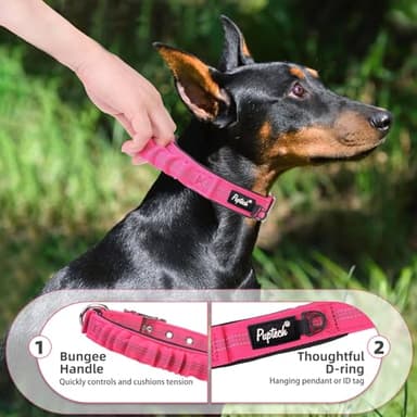 PUPTECK Heavy Duty Dog Collar with Handle Bungee for Small Medium Large Dogs, Tactical Dog Training Collar for Easy Control, Reflective Padded Dog Collars for Walking Running, Deep Pink, S - Image 3