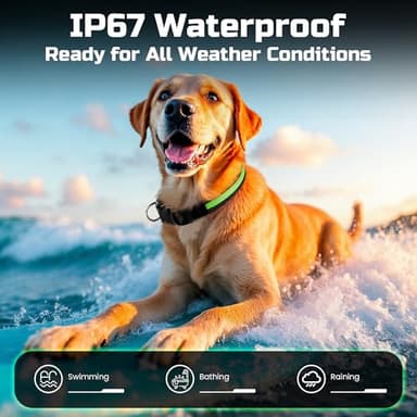 Light Up Dog Collar Rechargeable, LED Glow Collar in Dark with 3 Flash Mode for Outdoor Night Walking Visible Safe, Adjustable Waterproof Dog Light for Small Medium Large Breed, Green, M - Image 6