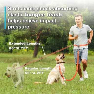 Laqibak Hands Free Dog Leash, Adjustable Waist Leash for Dog Walking, Dual Bungee 4.2-6.7 Feet Long with Reflective Stitches for Walking Hiking Running, Fits 26"- 43" Inch Waist, Orange - Image 4