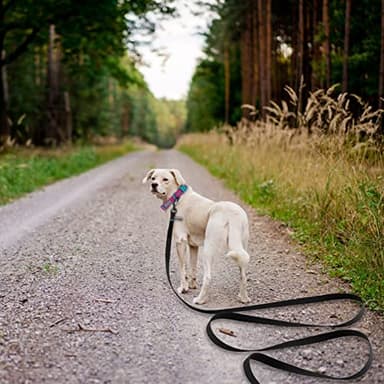 Wolfone 40ft Black Long Leash - Waterproof Training Dog Leash for Recall, Swimming, Camping, Beach, Hunting, Walking - Image 5