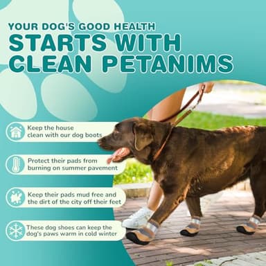 Petanims Dog Shoes for Small Dogs, Medium Dog Boots & Paw Protectors for Winter Snow, Breathable Dog Booties for Hot Pavement, Hardwood Floors Gray Size 1 - Image 3