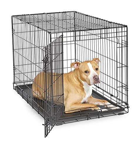 New World Single Door Folding Metal 36-Inch Dog Crate, Enhanced Security, Includes Leak-Proof Pan & Divider Panel, For Medium to Large Sized Breeds - Image 1