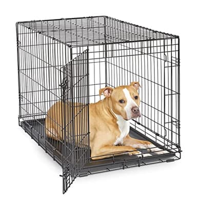 New World Single Door Folding Metal 36-Inch Dog Crate, Enhanced Security, Includes Leak-Proof Pan & Divider Panel, For Medium to Large Sized Breeds - Image 1